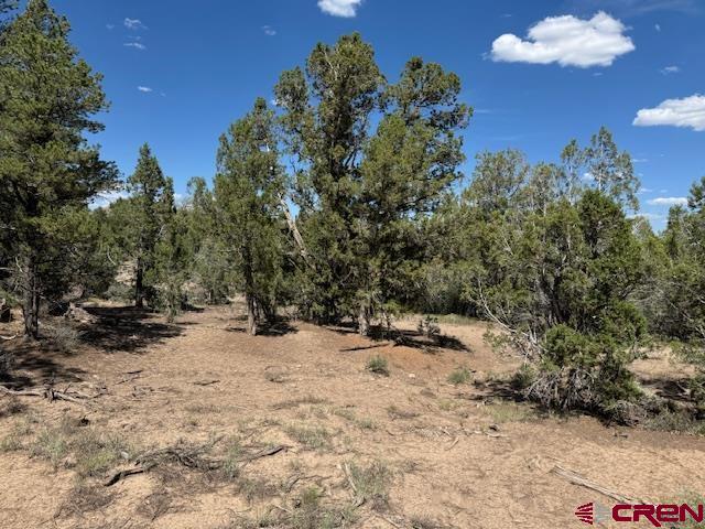 2519 Green Shadows Road Durango CO 81303