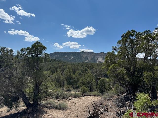 2519 Green Shadows Road Durango CO 81303