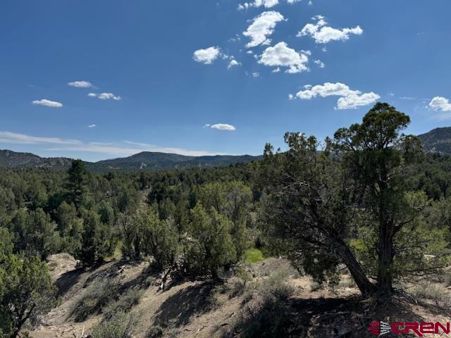 2519 Green Shadows Road Durango CO 81303