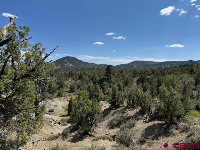 2519 Green Shadows Road Durango CO 81303