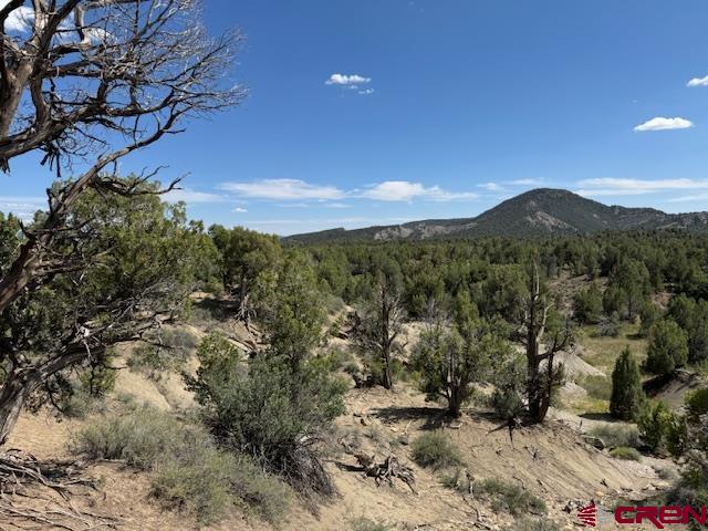 2519 Green Shadows Road Durango CO 81303