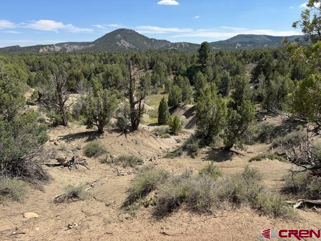 2519 Green Shadows Road Durango CO 81303