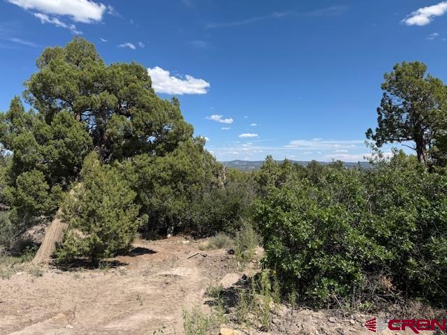 2519 Green Shadows Road Durango CO 81303