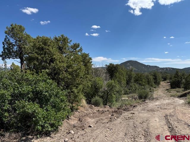 2519 Green Shadows Road Durango CO 81303