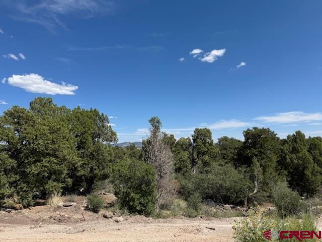 2519 Green Shadows Road Durango CO 81303