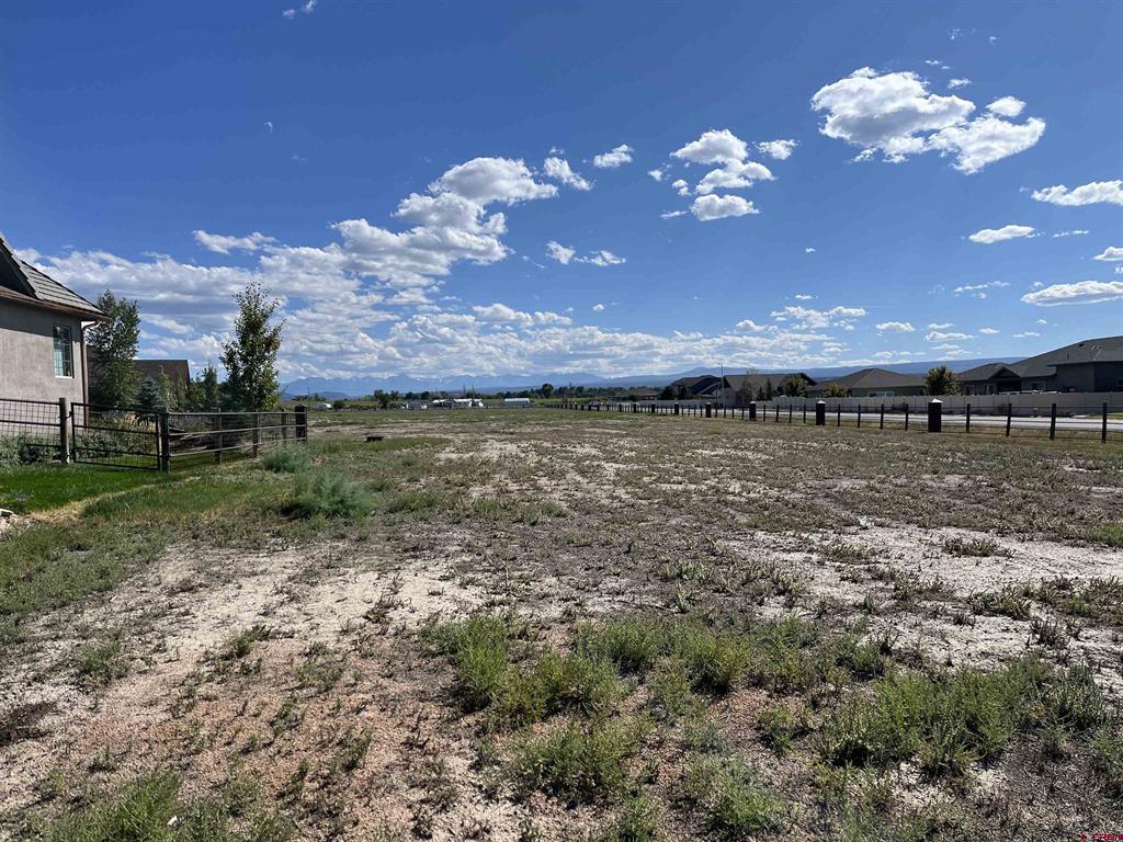 Tbd Torrence Drive Montrose CO 81401