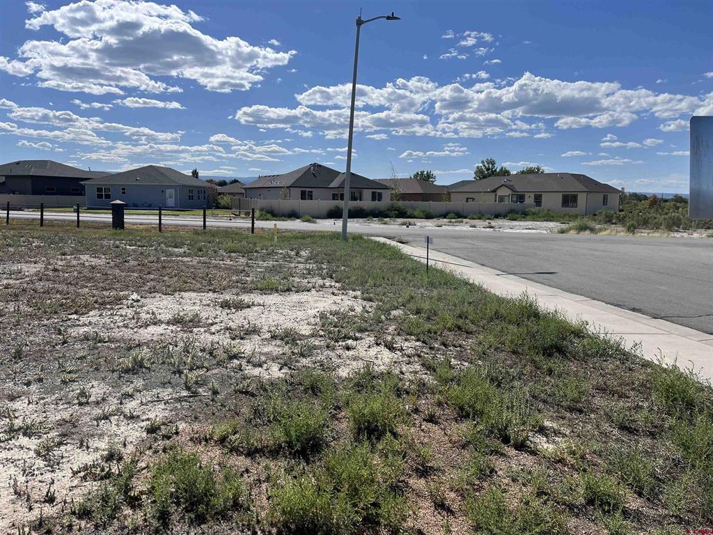 Tbd Torrence Drive Montrose CO 81401