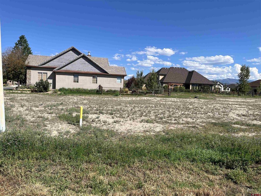 Tbd Torrence Drive Montrose CO 81401