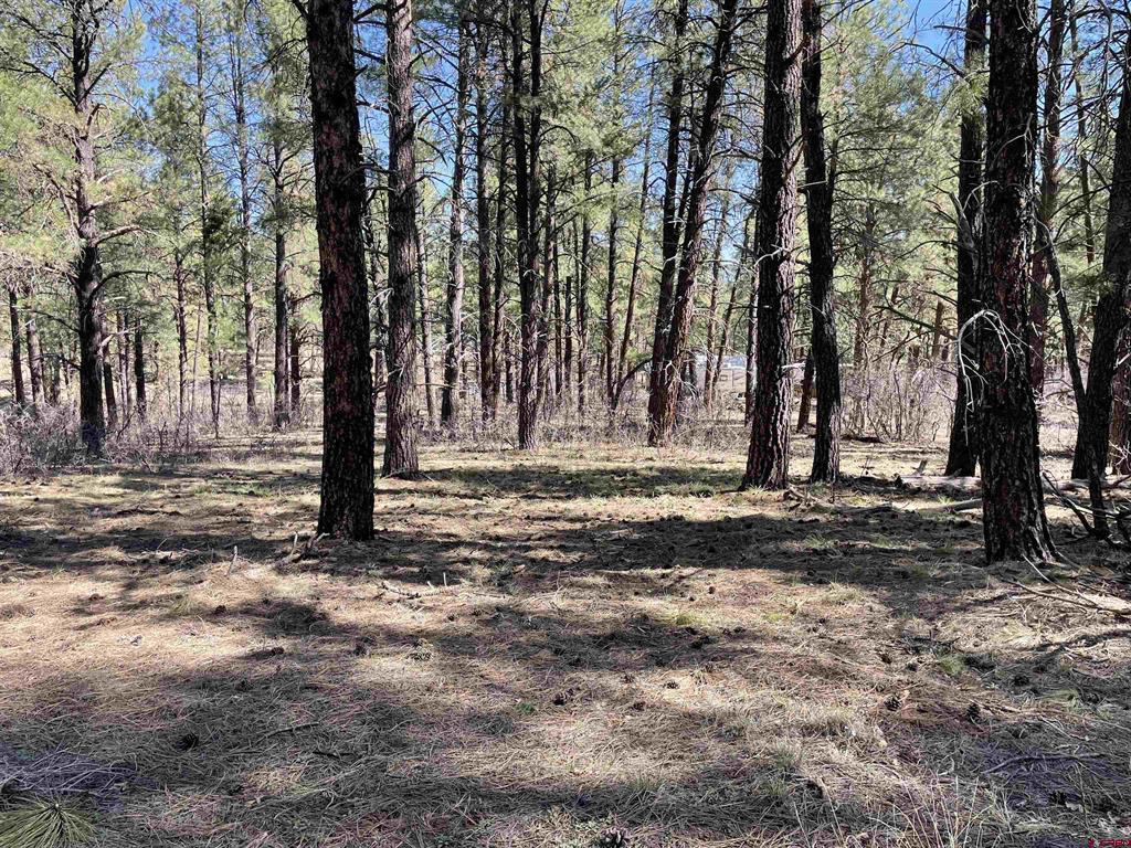 97 Dave's Place Pagosa Springs CO 81147