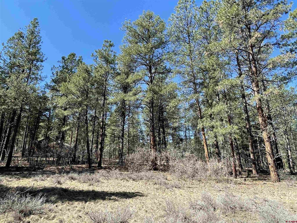 97 Dave's Place Pagosa Springs CO 81147