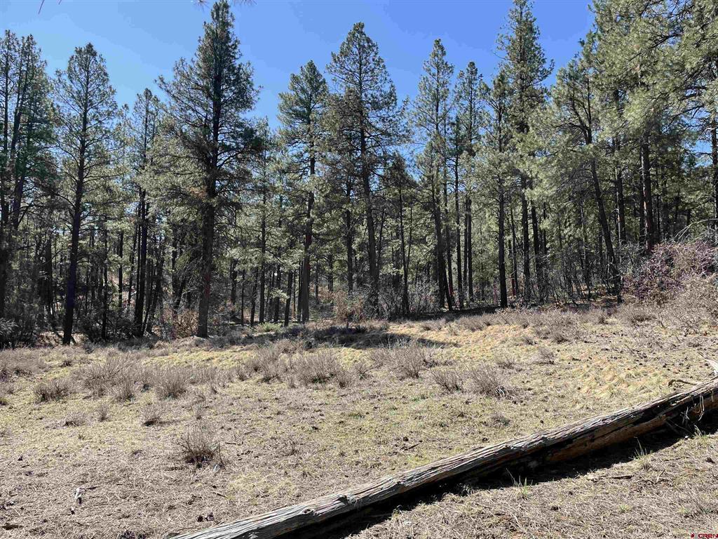 97 Dave's Place Pagosa Springs CO 81147