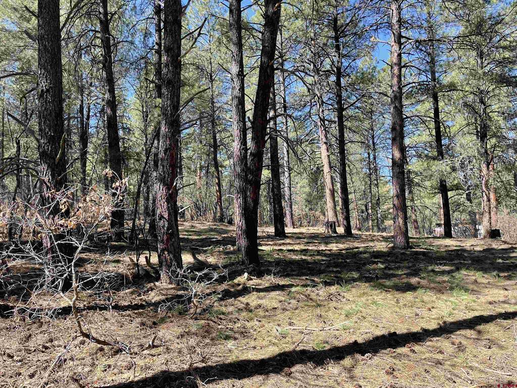 97 Dave's Place Pagosa Springs CO 81147