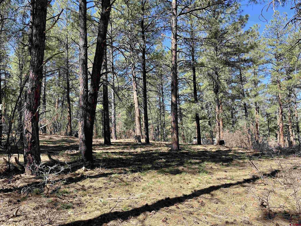 97 Dave's Place Pagosa Springs CO 81147