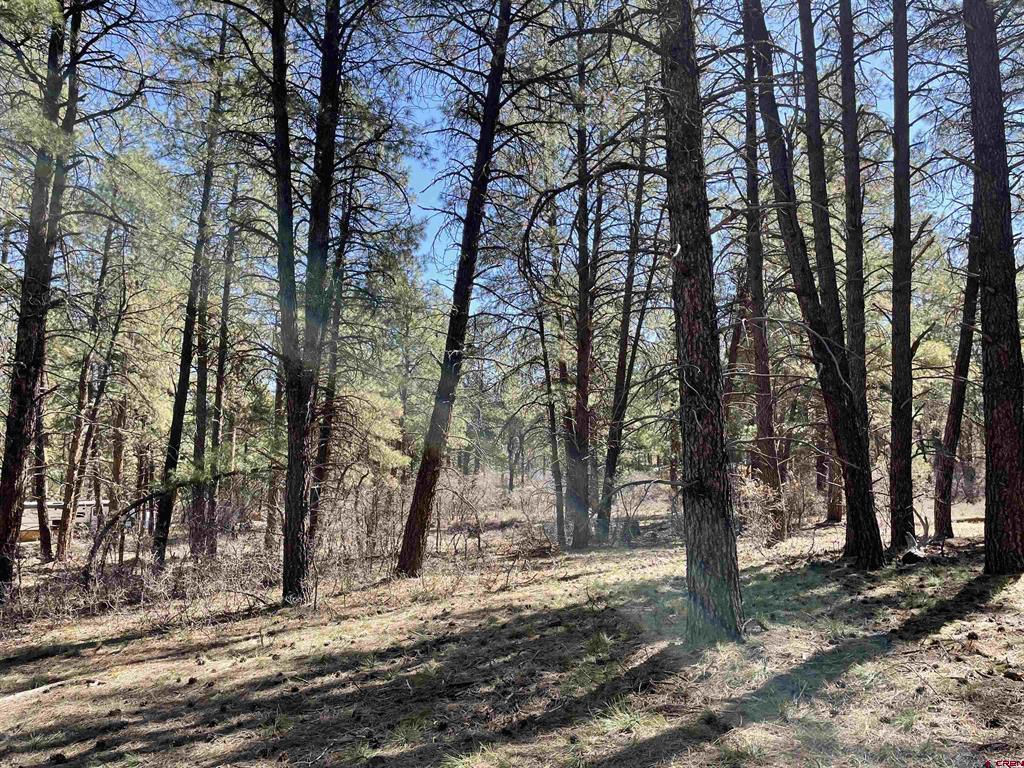 97 Dave's Place Pagosa Springs CO 81147