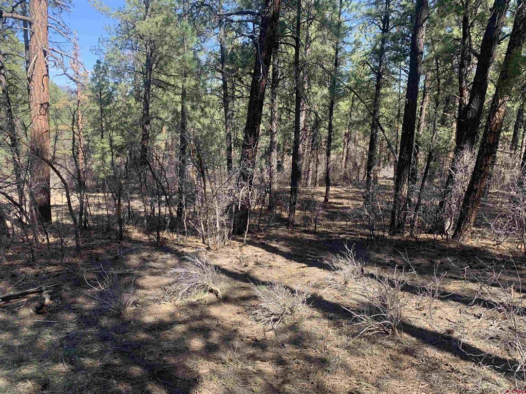 97 Dave's Place Pagosa Springs CO 81147