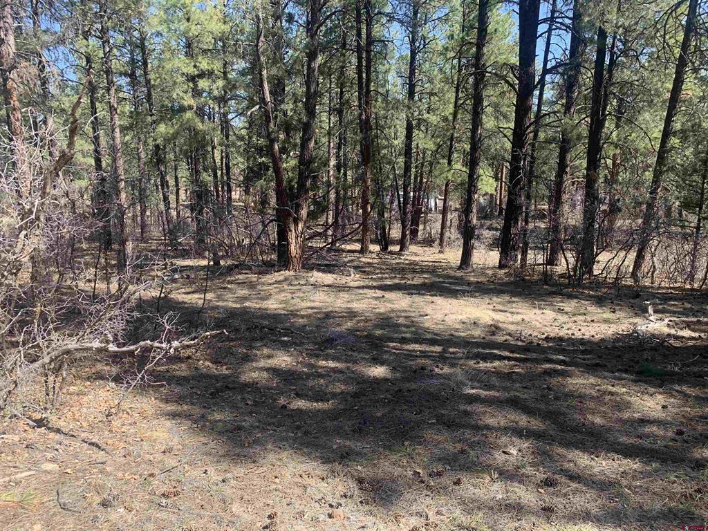 97 Dave's Place Pagosa Springs CO 81147