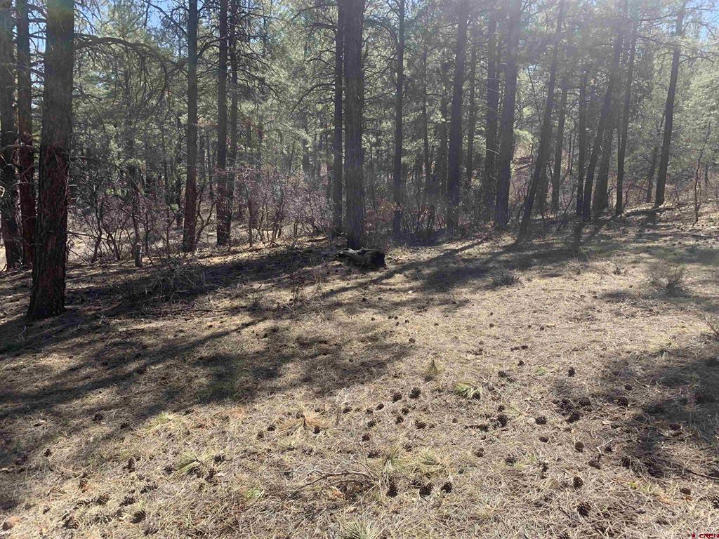 97 Dave's Place Pagosa Springs CO 81147