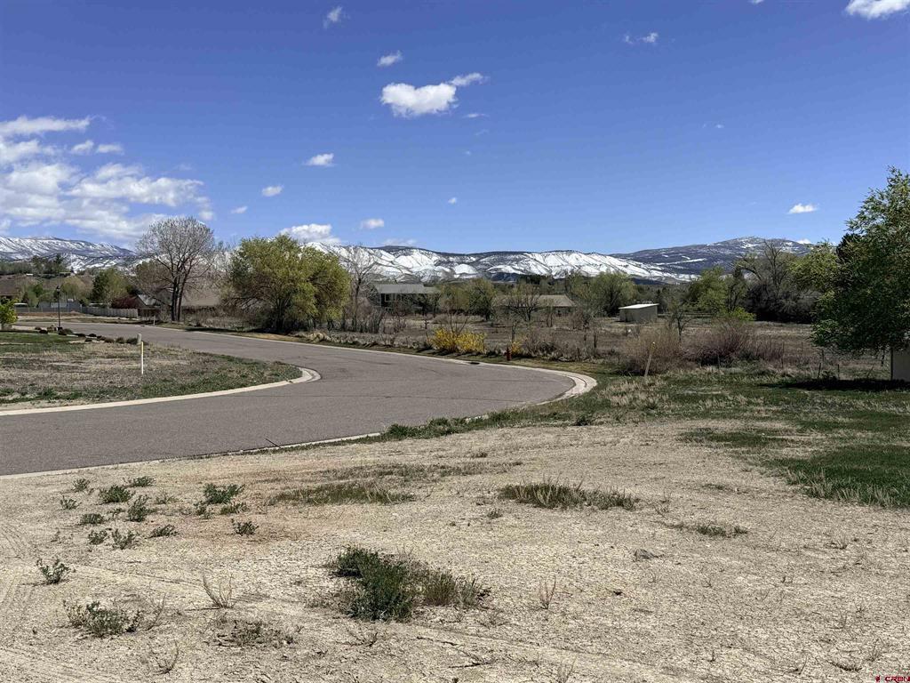 1545 Windsor Way Montrose CO 81401