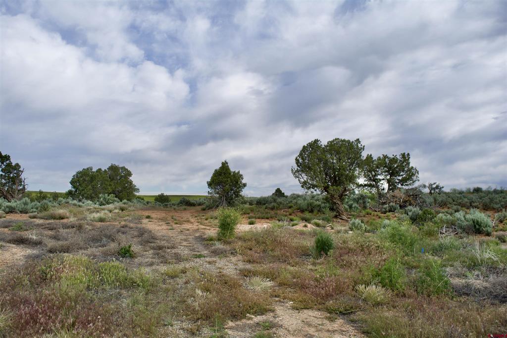 Lot 3 Road 24.3 Cortez CO 81321