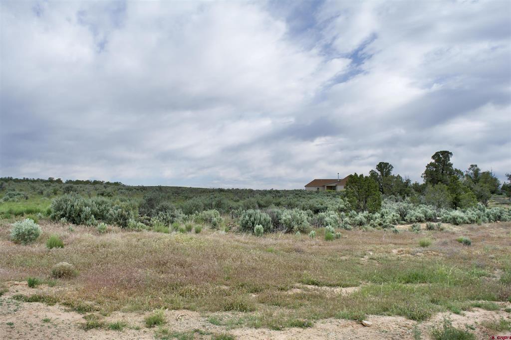 Lot 3 Road 24.3 Cortez CO 81321