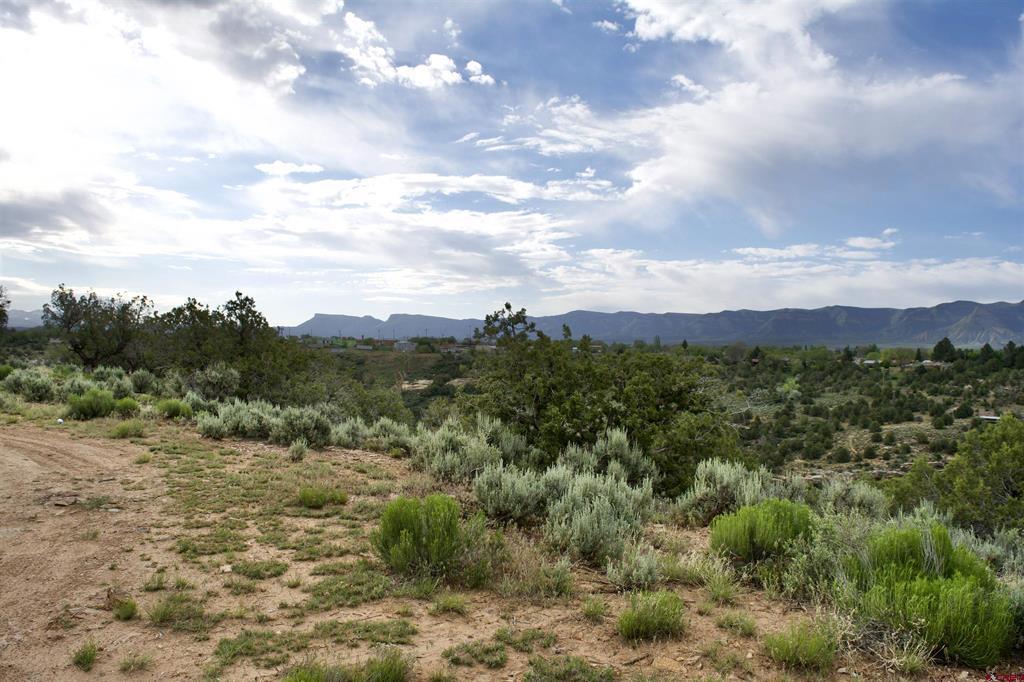 Lot 3 Road 24.3 Cortez CO 81321