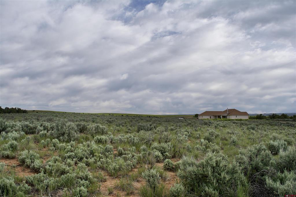 Lot 3 Road 24.3 Cortez CO 81321