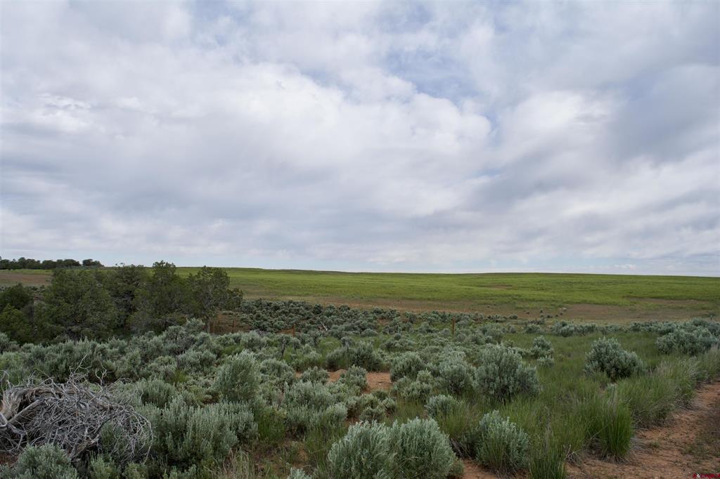 Lot 3 Road 24.3 Cortez CO 81321