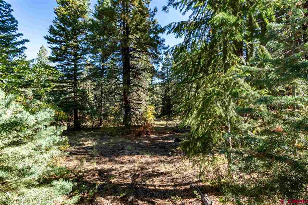 Pagosa Springs CO, 307 Nature's Way