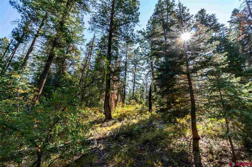 307 Nature's Way Pagosa Springs CO 81147