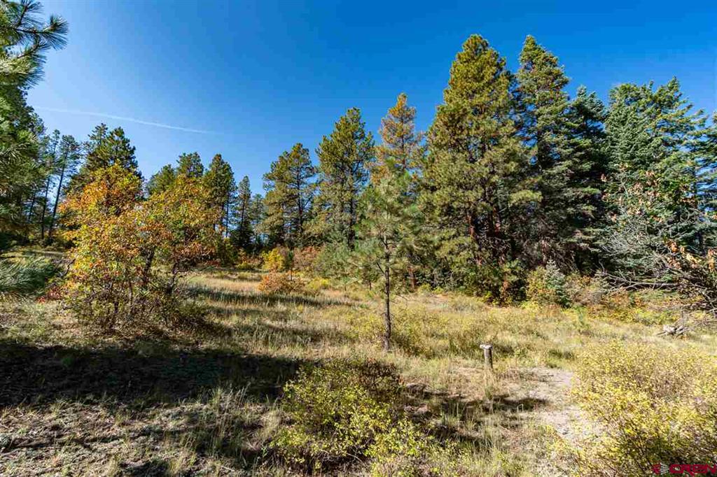 307 Nature's Way Pagosa Springs CO 81147