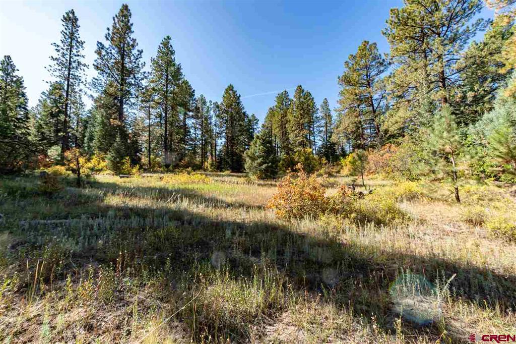 307 Nature's Way Pagosa Springs CO 81147