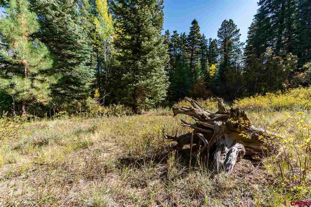 307 Nature's Way Pagosa Springs CO 81147
