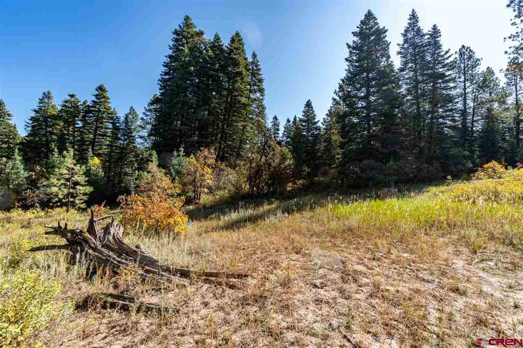 307 Nature's Way Pagosa Springs CO 81147