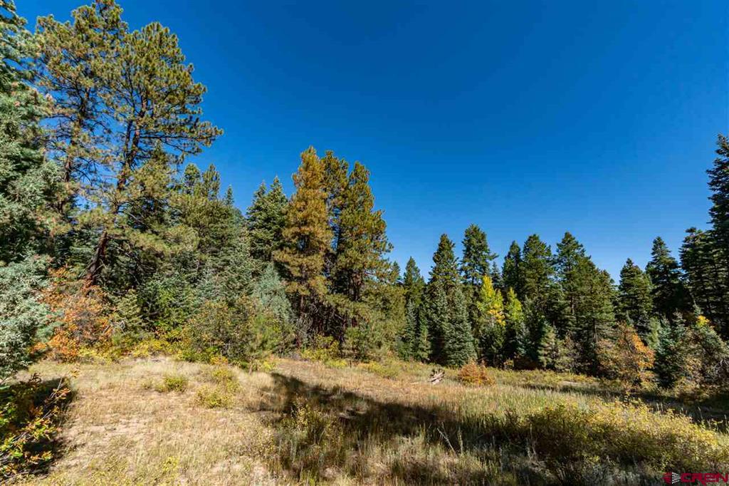 307 Nature's Way Pagosa Springs CO 81147