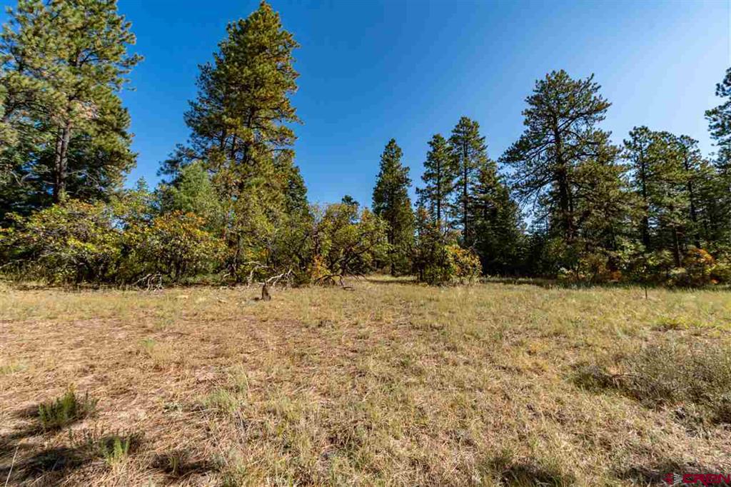 307 Nature's Way Pagosa Springs CO 81147