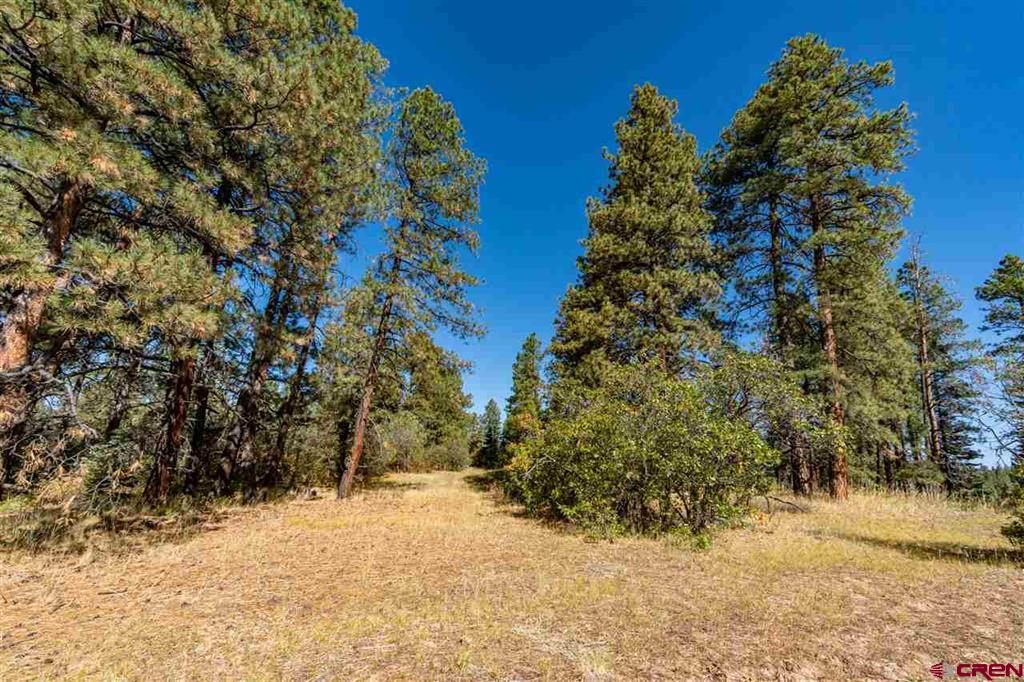 307 Nature's Way Pagosa Springs CO 81147