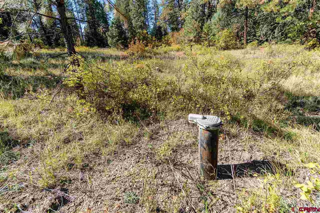 307 Nature's Way Pagosa Springs CO 81147