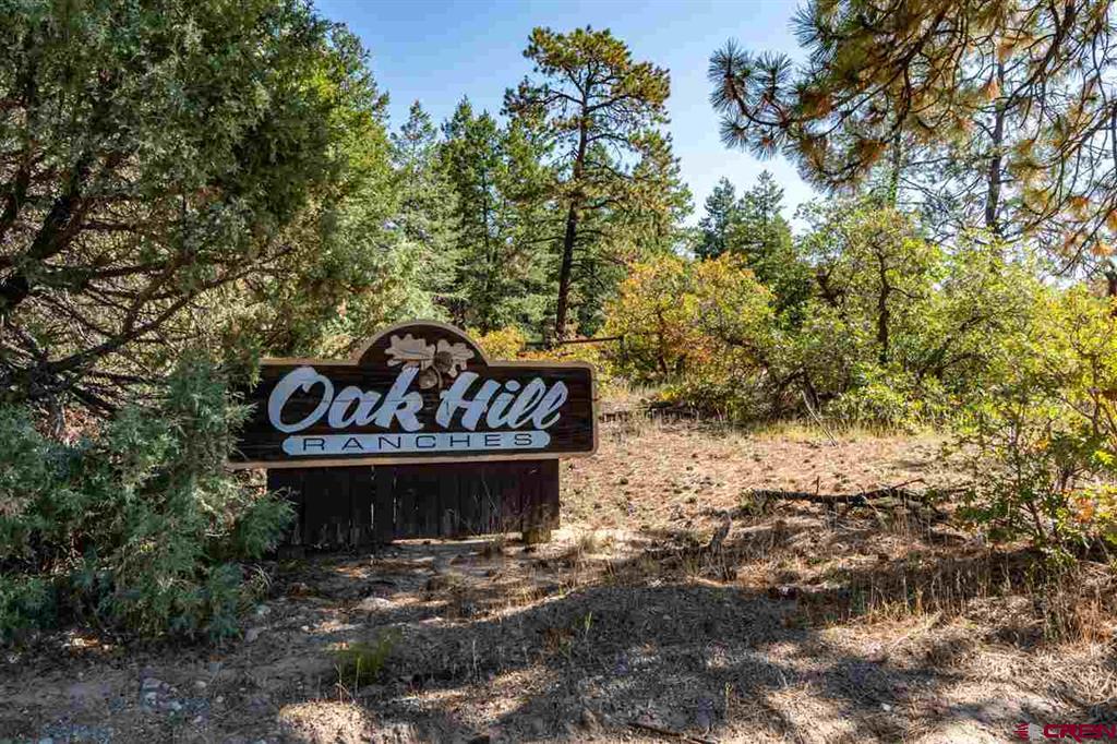 307 Nature's Way Pagosa Springs CO 81147