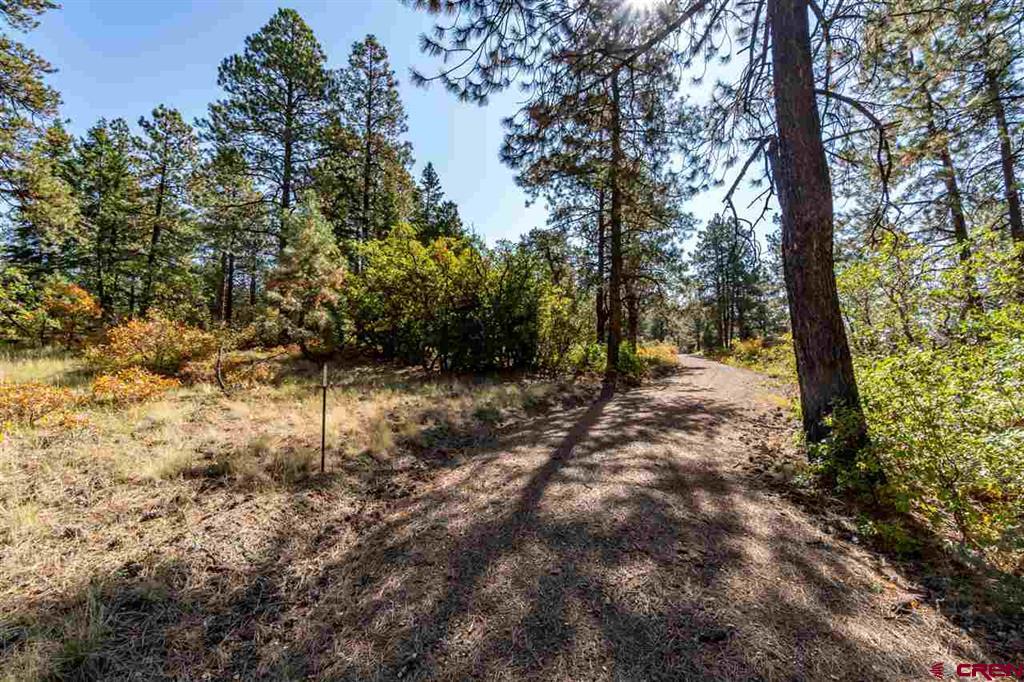 307 Nature's Way Pagosa Springs CO 81147