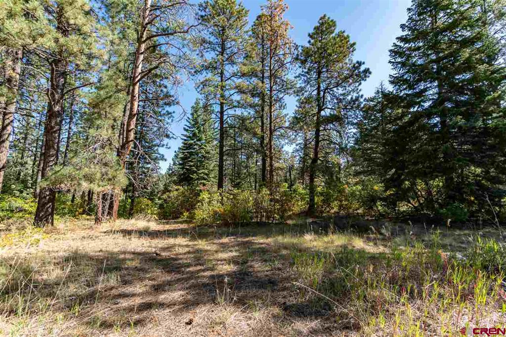 307 Nature's Way Pagosa Springs CO 81147