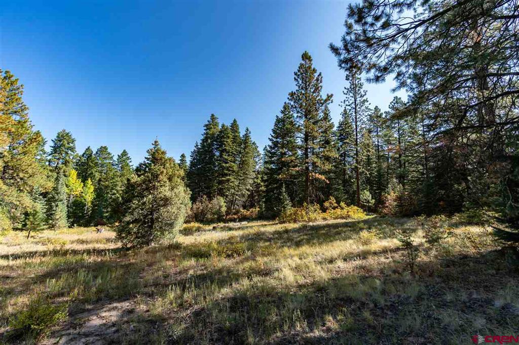 307 Nature's Way Pagosa Springs CO 81147