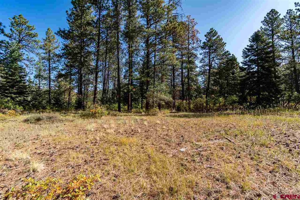 307 Nature's Way Pagosa Springs CO 81147