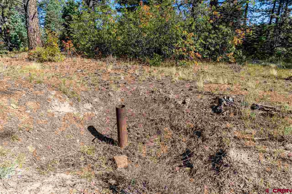 307 Nature's Way Pagosa Springs CO 81147