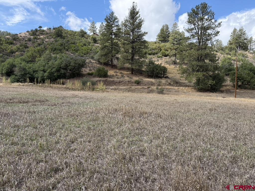 626 Indian Land Road Pagosa Springs CO 81147