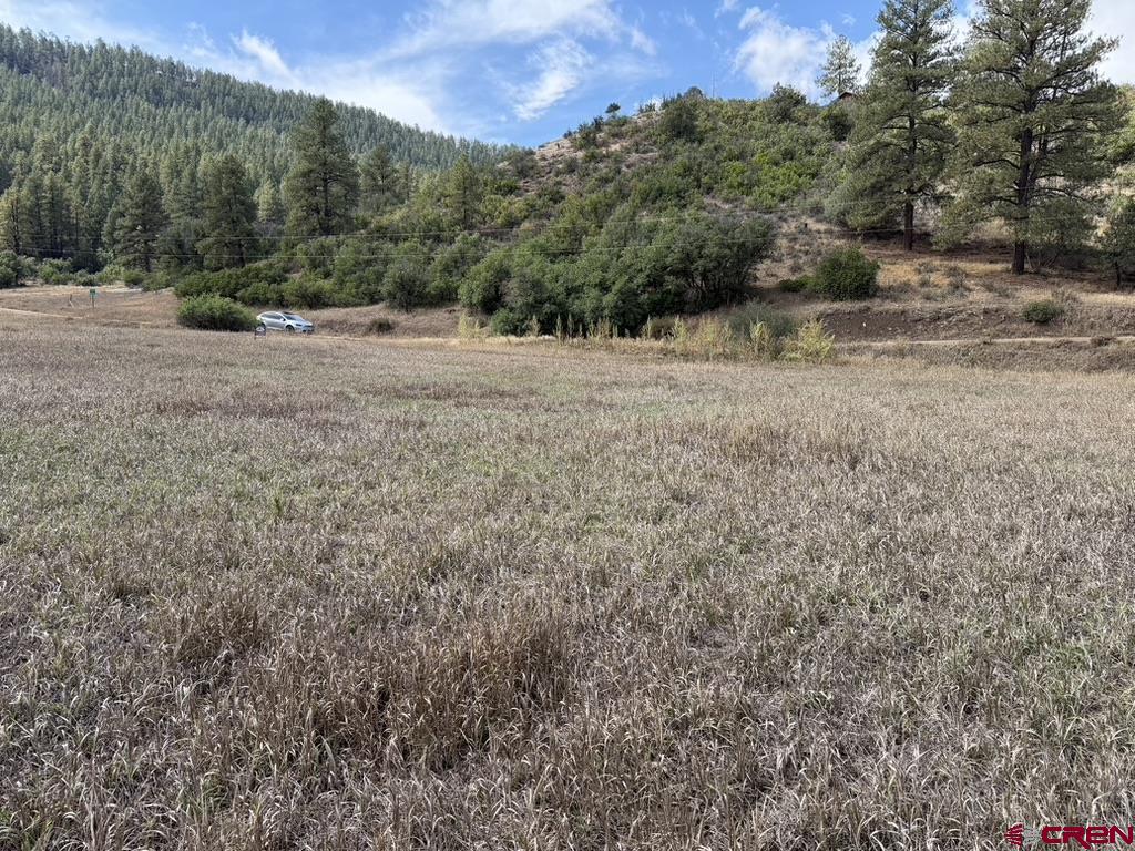 626 Indian Land Road Pagosa Springs CO 81147