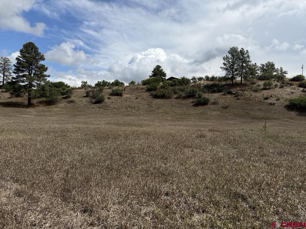 626 Indian Land Road Pagosa Springs CO 81147