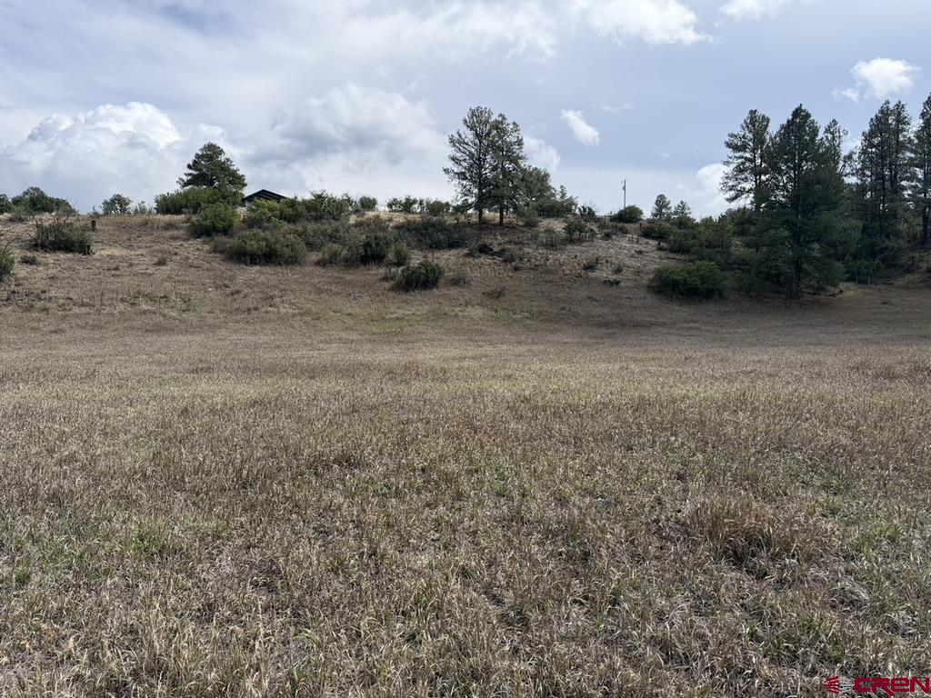 626 Indian Land Road Pagosa Springs CO 81147
