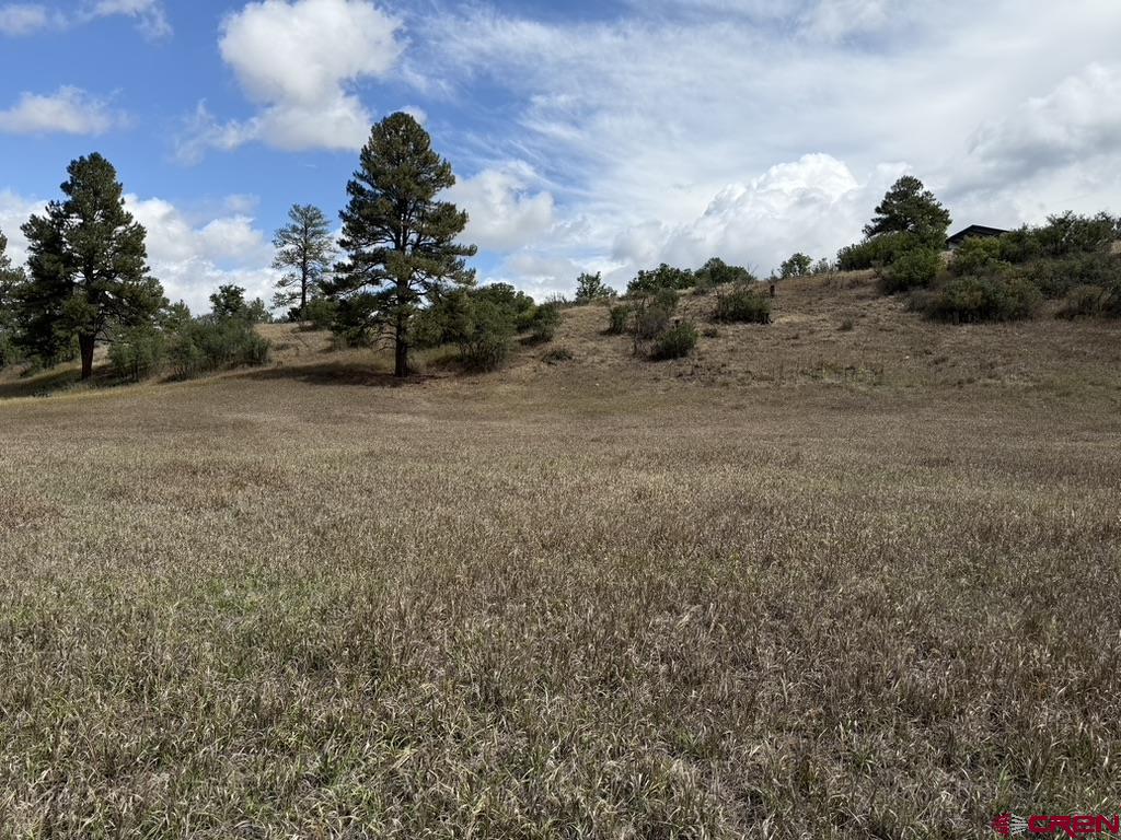 626 Indian Land Road Pagosa Springs CO 81147