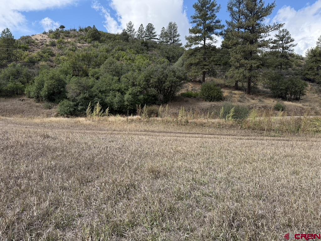 626 Indian Land Road Pagosa Springs CO 81147