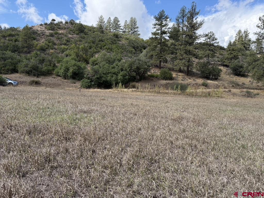 626 Indian Land Road Pagosa Springs CO 81147